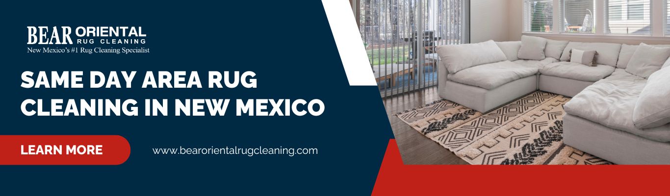 same day area rug cleaning